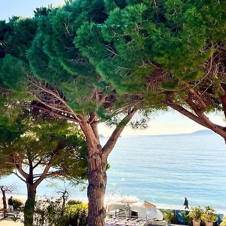 Appartement Les Pieds Dans L'Eau A Cavaliere Le Lavandou Bagian luar foto