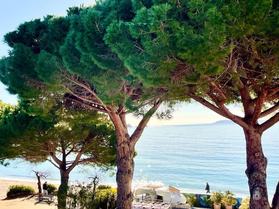 Appartement Les Pieds Dans L'Eau A Cavaliere Le Lavandou Bagian luar foto