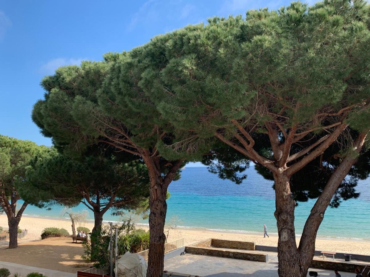 Appartement Les Pieds Dans L'Eau A Cavaliere Le Lavandou Bagian luar foto